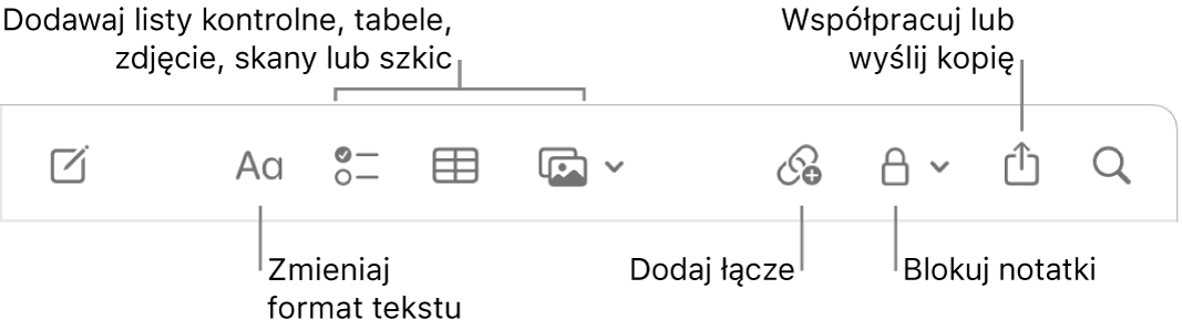 Pasek narzędzi aplikacji Notatki z dymkami pomocy do formatowania tekstu, dodawania list kontrolnych, tabel, łączy, zdjęć i multimediów, blokowania notatek, udostępniania ich oraz wysyłania kopii.