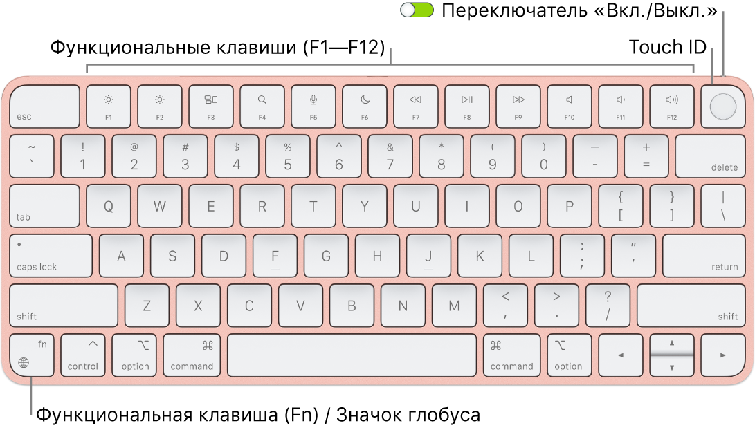 Клавиатура Magic Keyboard с сенсором Touch ID. Показаны функциональные клавиши, сенсор Touch ID вверху и клавиша Function (Fn) / глобуса в левом нижнем углу.