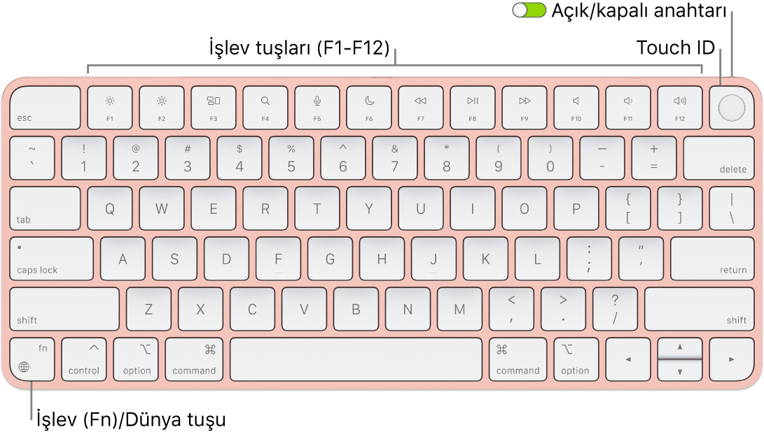 En üstte Touch ID ile işlev tuşları sırasını ve sol alt köşede İşlev (Fn)/Dünya tuşunu gösteren Touch ID’li Magic Keyboard.