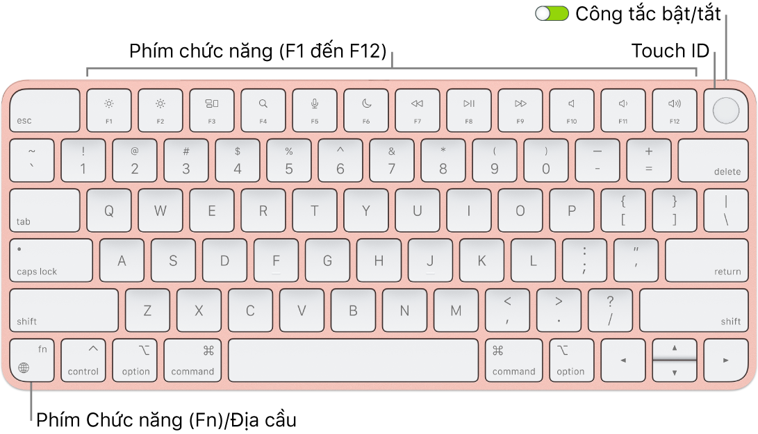 Magic Keyboard có Touch ID đang hiển thị hàng các phím chức năng, Touch ID ở trên cùng và phím Chức năng (Fn)/Địa cầu ở góc phía dưới bên trái.
