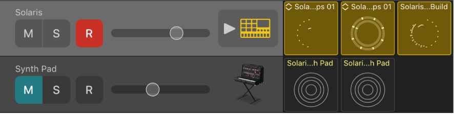 Figura. Cabeçalho de faixa, a mostrar os controlos Silenciar, Solo e Gravar, e o ícone de faixa.