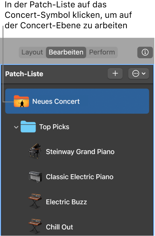Abbildung. Auswahl des Concert-Symbols in der Patch-Liste