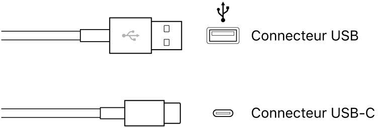 Figure. Illustration des connecteurs USB et USB-C.