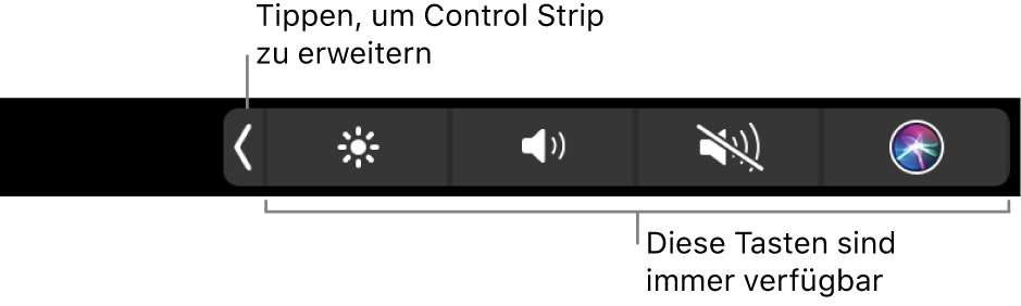 Abbildung. Control Strip der Touch Bar