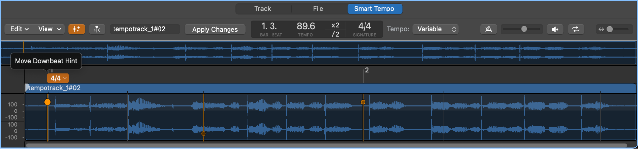 Figure. Smart Tempo Editor showing downbeat hints, beat hints, and time signature hints.