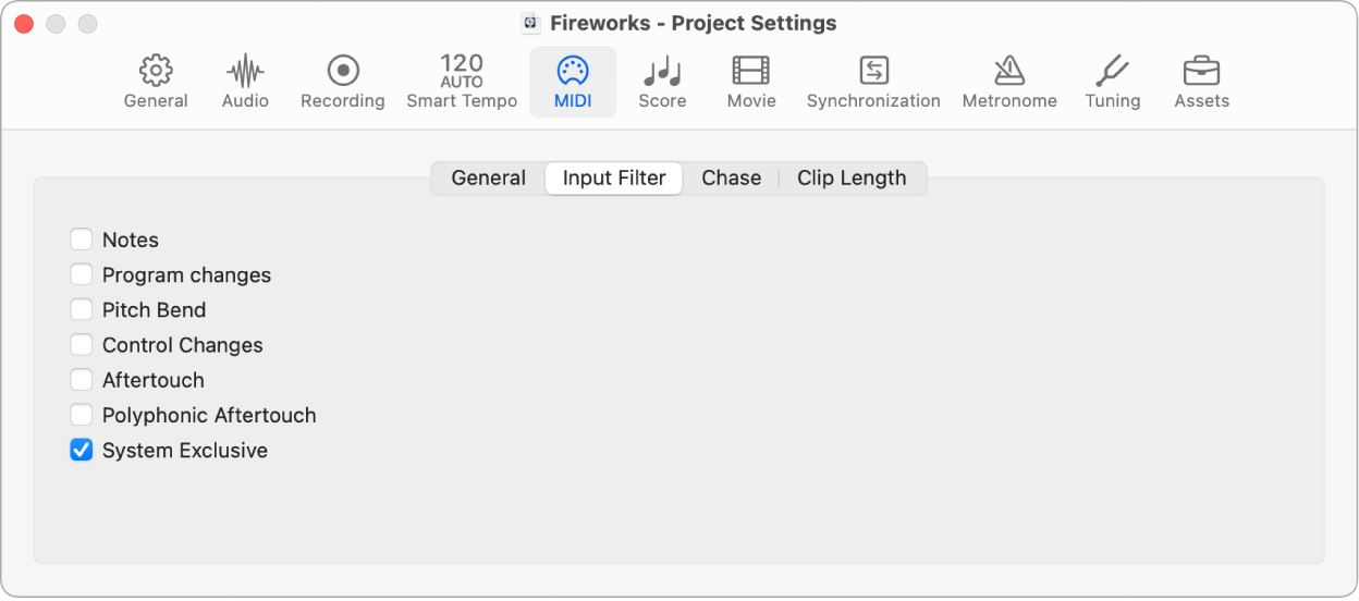 Figure. MIDI Input Filter project settings.