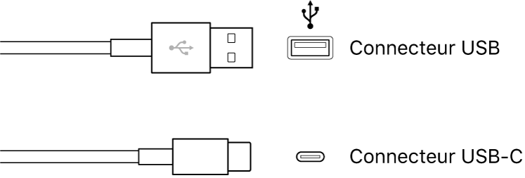 Figure. Illustration des connecteurs de types USB et USB-C.