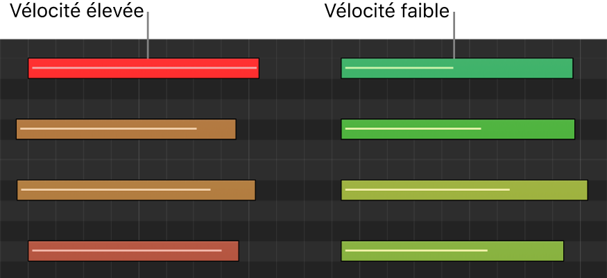 Figure. Différentes vélocités de note indiquées par des couleurs dans l’éditeur de partition défilante.