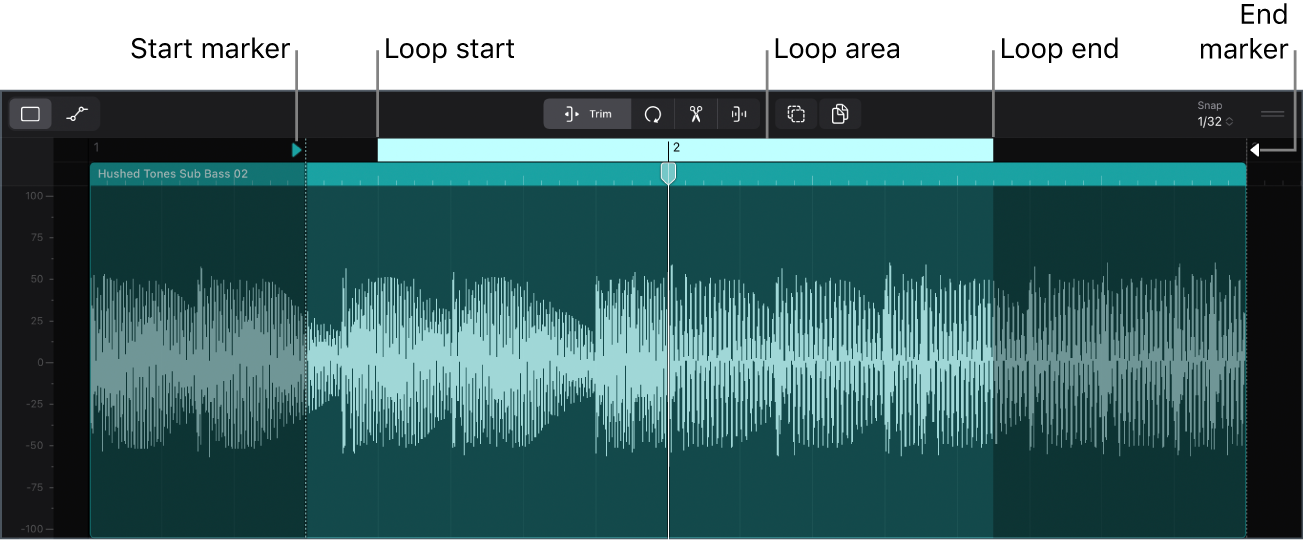 Figure. An audio cell open in the Cell Editor.