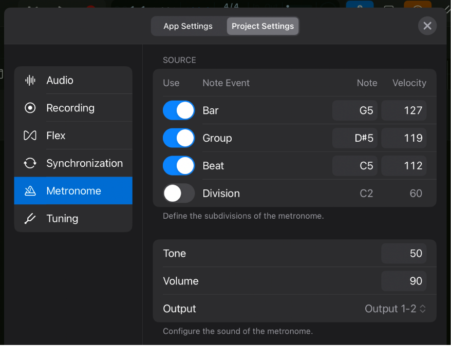 Metronome project settings.