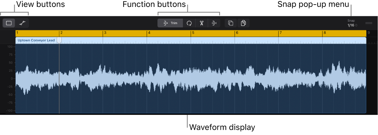 Figure. Audio Editor showing audio region with waveform.