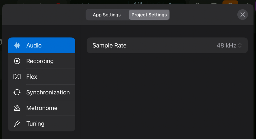 Audio project settings.