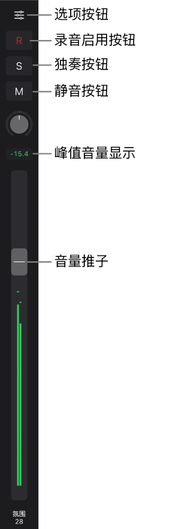 图。“推子”显示“选项”按钮、“录音启用”按钮、“独奏”和“静音”按钮、“声相/平衡”旋钮、峰值音量显示以及“音量”推子。