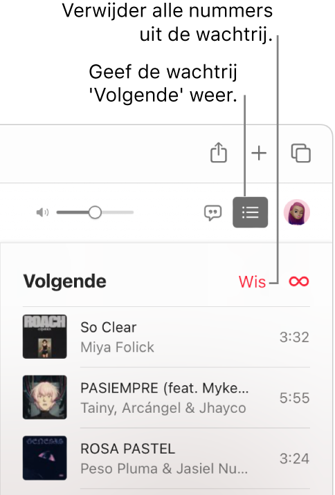 De knop 'Volgende' rechtsboven op de Apple Music-pagina is geselecteerd en de wachtrij is zichtbaar. Met de link 'Wis' bovenaan de lijst worden alle nummers uit de wachtrij verwijderd.