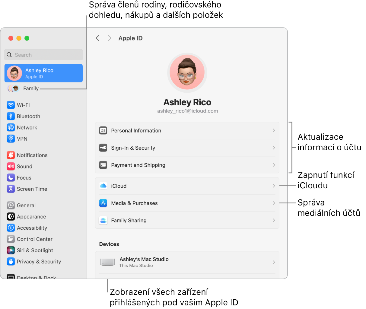 Volby Apple ID v Nastavení systému s popisky u ovládacích prvků pro aktualizaci informací o účtu, zapnutí nebo vypnutí různých funkcí iCloudu a správu účtů pro média a u volby Rodina, která vám umožňuje spravovat členy rodiny, rodičovský dohled, nákupy a další položky