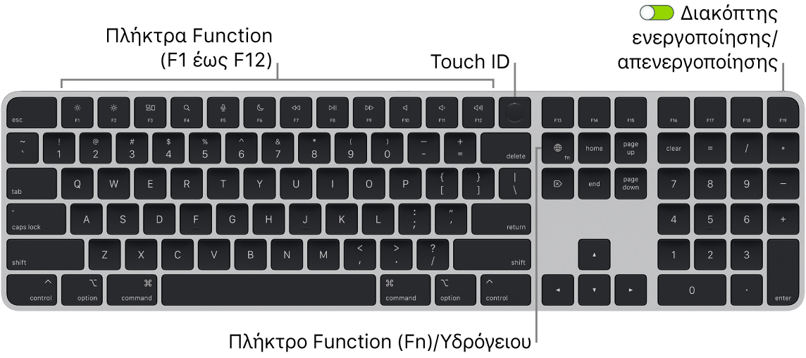 Το Magic Keyboard με Touch ID και αριθμητικό πληκτρολόγιο όπου φαίνονται η σειρά πλήκτρων λειτουργιών και το Touch ID στο πάνω μέρος, και το πλήκτρο Function (Fn)/Υδρογείου στα δεξιά του πλήκτρου Delete.