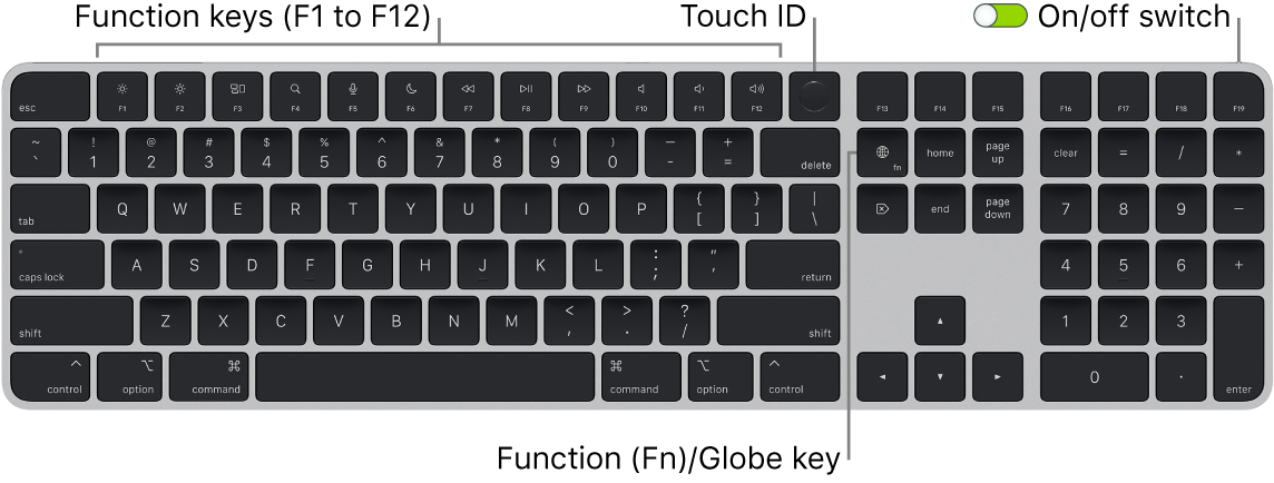 The Magic Keyboard with Touch ID and Numeric Keypad showing the row of function keys and Touch ID across the top, and the Function (Fn)/Globe key to the right of the Delete key.