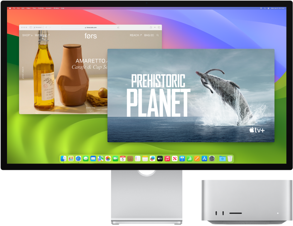 Connecter un moniteur au Mac Studio - Assistance Apple (FR)