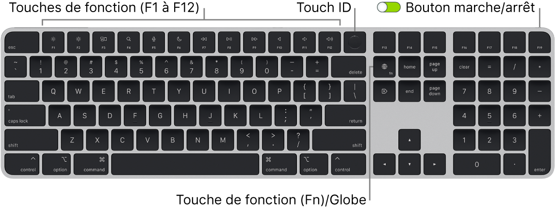 Le Magic Keyboard avec Touch ID et pavé numérique affichant le rang des touches de fonction et le capteur Touch ID en haut, ainsi que la touche Fonction (Fn)/Globe à droite de la touche Supprimer.