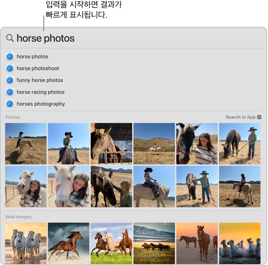 ‘말 사진’에 대한 검색 결과를 보여주는 Spotlight 윈도우.