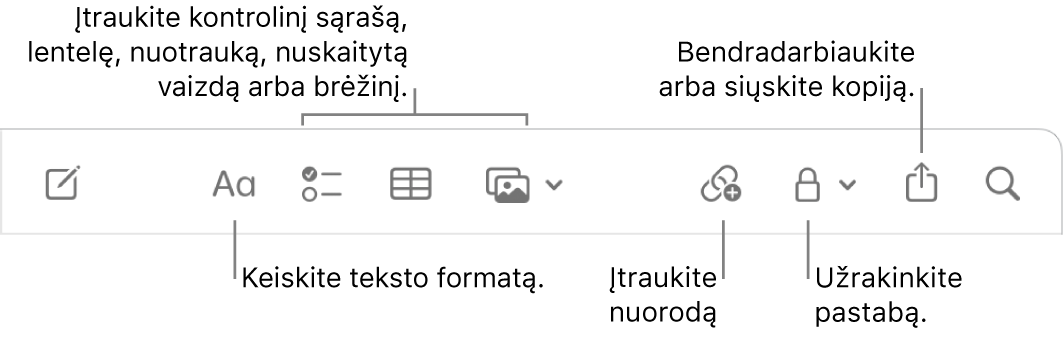 „Notes“ įrankių juosta su išnašomis į teksto formatavimo, kontrolinio sąrašo, lentelės, nuorodos, nuotraukų / turinio, užrakinimo, bendrinimo ir kopijos siuntimo priemones.