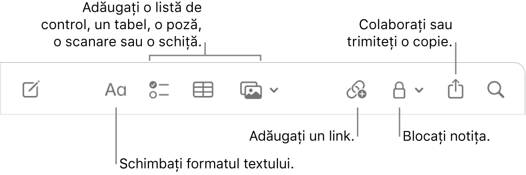 Bara de instrumente Notițe, cu explicații pentru formatarea textului, listă de control, tabel, link, poze/conținut multimedia, blocare, partajare și instrumentele pentru trimiterea unei copii.