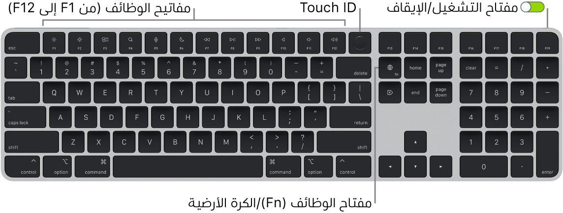 لوحة مفاتيح Magic Keyboard المزودة بـ Touch ID ولوحة مفاتيح رقمية يظهر فيها صف مفاتيح الوظائف و Touch ID على امتداد الجزء العلوي، ومفتاح الوظائف (Fn)/الكرة الأرضية على يمين مفتاح الحذف.
