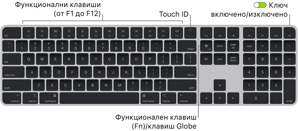 Клавиатурата Magic Keyboard с Touch ID и Numeric Keypad, която показва редицата с функционални клавиши, Touch ID в горния край и клавиша Function (Fn)/Globe вдясно от клавиша Delete.