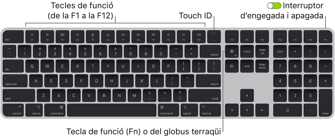 Un Magic Keyboard amb Touch ID i teclat numèric, en què es veu la filera de tecles de funció amb el Touch ID a la part superior i la tecla de funció (Fn) o del globus terraqüi a la dreta de la tecla Eliminar.