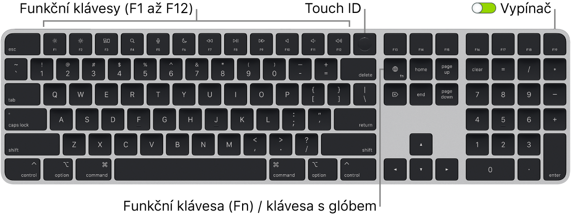 Klávesnice Magic Keyboard s Touch ID a numerickou klávesnicí, na které je vidět řada funkčních kláves a snímač Touch ID u horního okraje a funkční klávesa Fn / klávesa s glóbem napravo od klávesy Delete