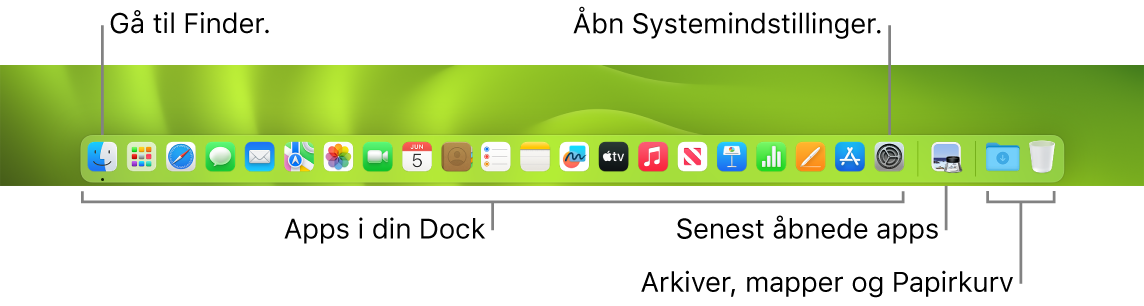 Et billede af Dock med Finder, Systemindstillinger og stregen i Dock, der adskiller apps fra arkiver og mapper.