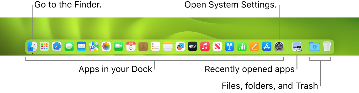 The Dock, showing the Finder, System Settings, and the line in the Dock that divides apps from files and folders.