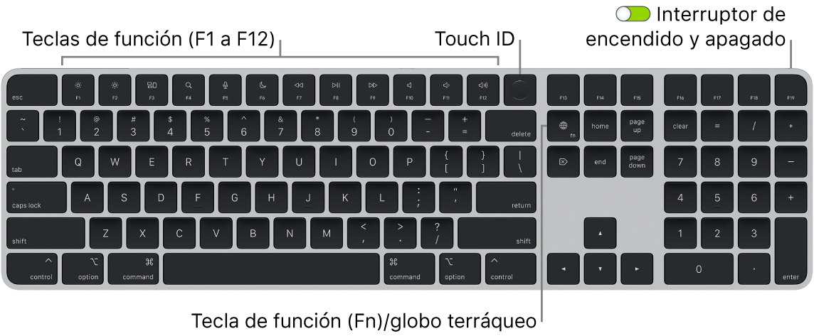 El Magic Keyboard con Touch ID y teclado numérico mostrando la fila de teclas de función con el sensor Touch ID en la parte superior y la tecla de función (Fn)/globo terráqueo a la derecha de la tecla Suprimir.