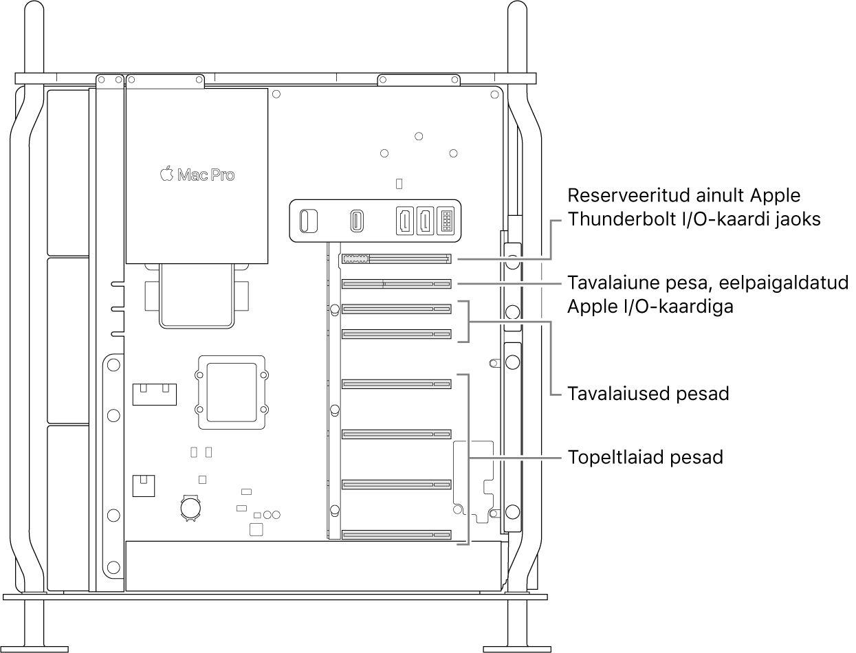 Mac Pro külg on avatud väljaviikudega neljale topeltlaiale pesale, tavalaiusele Apple I/O kaardi pesale ning Thunderbolt I/O kaardi pesale.