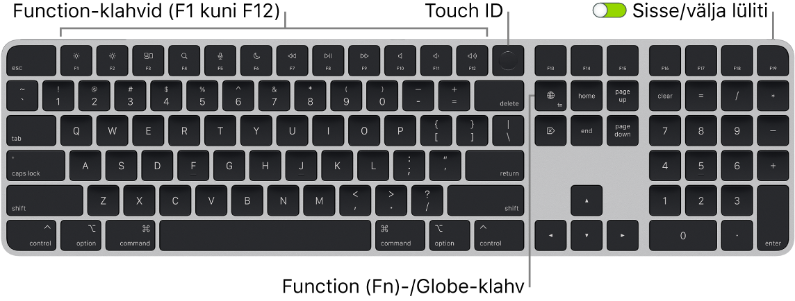 Touch ID-ga ja numbriklahvistikuga Magic Keyboard, mille ülaosas on funktsiooniklahvide rida ja Touch ID ning klahvist Delete paremal klahv Function (Fn)/Globe.