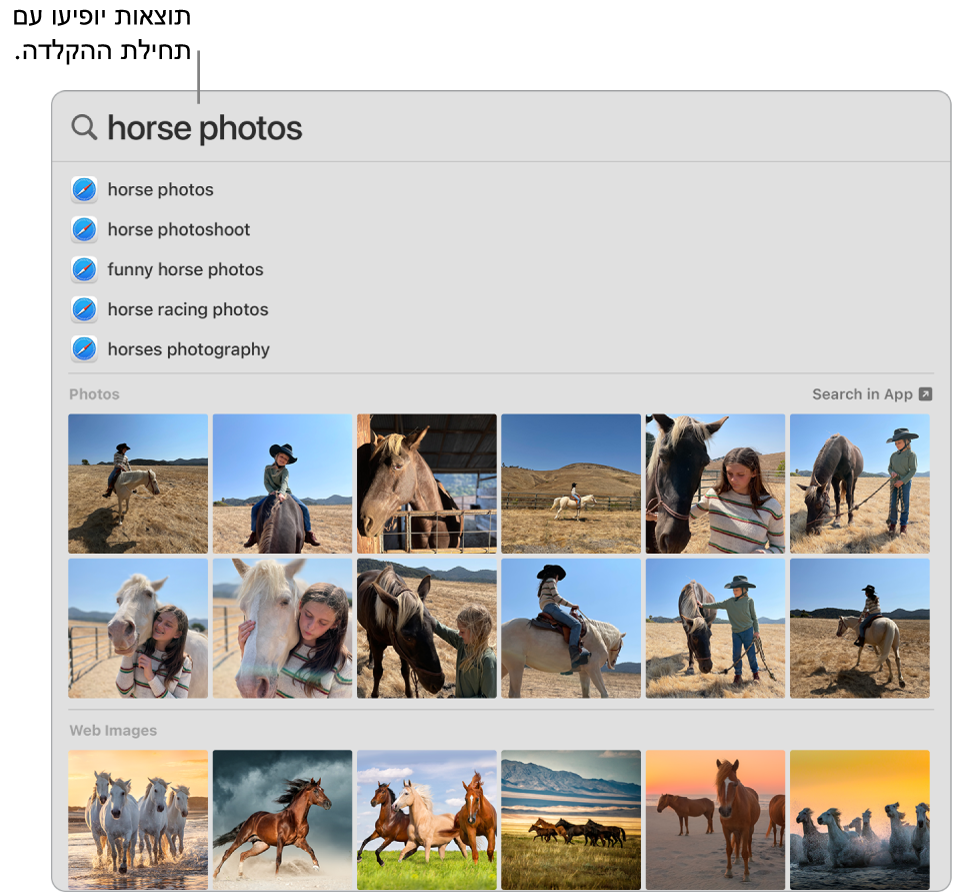 החלון של Spotlight שמציג תוצאות חיפוש ״תמונות של סוסים״.