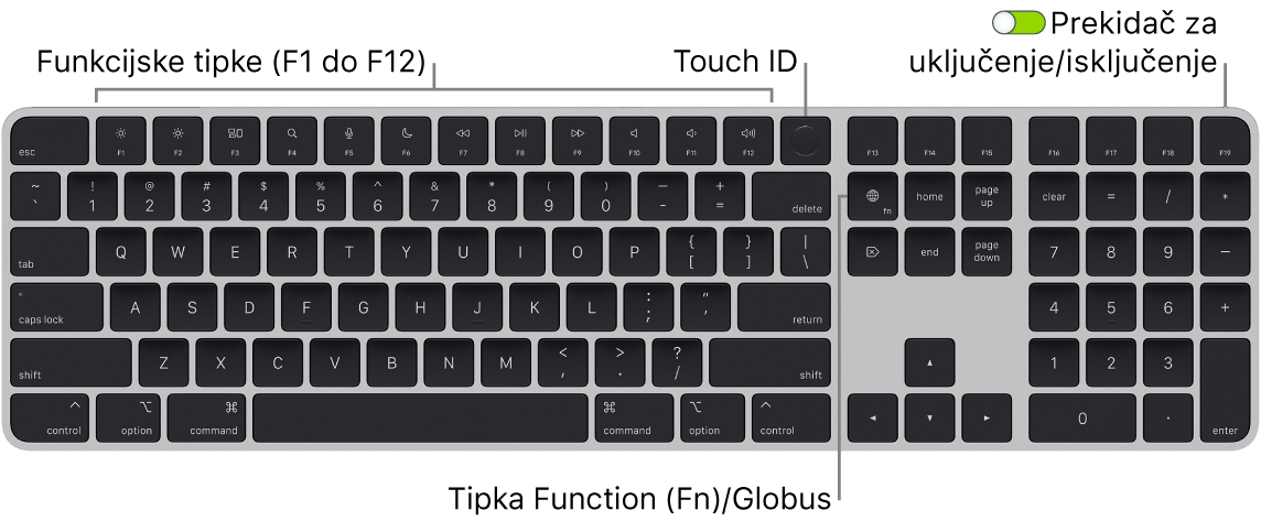 Magic Keyboard s Touch ID-jem i numeričkom tipkovnicom na kojem se vidi red funkcijskih tipki i Touch ID na vrhu i tipka Funkcija (Fn)/Globus s desne strane tipke Delete.