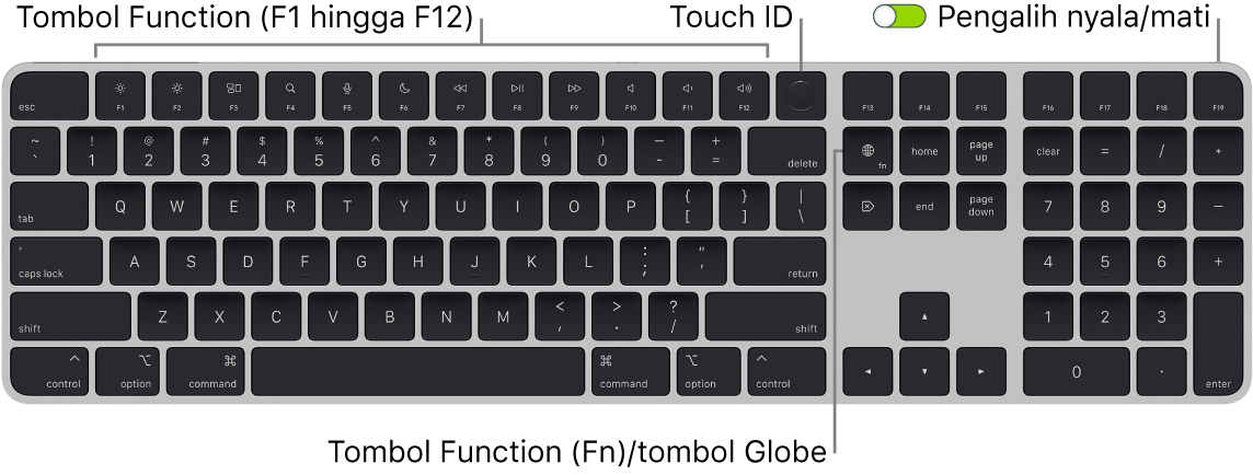 Magic Keyboard dengan Touch ID dan Keypad Numerik menampilkan baris tombol function dengan Touch ID di sepanjang bagian atas dan tombol Function (Fn)/Globe di sebelah kanan tombol Delete.
