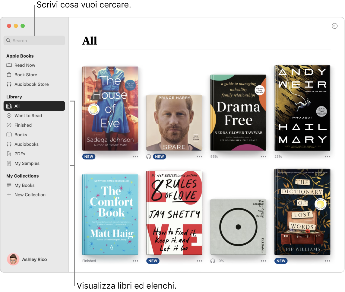 Finestra dell’app Libri che illustra come visualizzare libri, sfogliare contenuti ed effettuare ricerche.