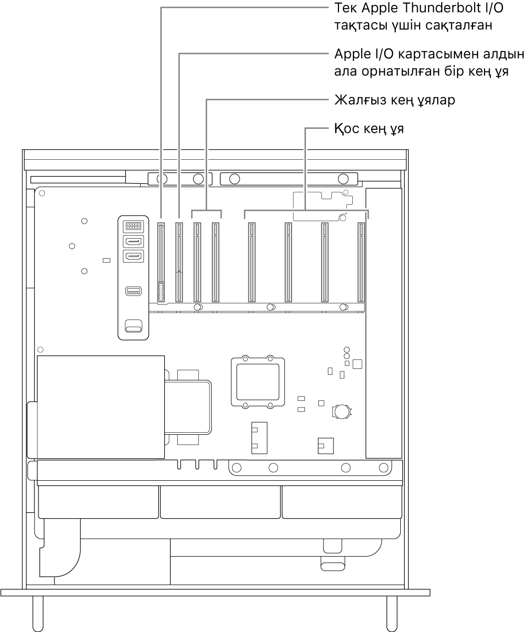 Thunderbolt I/O тақтасының ұясы, Apple I/O картасының бір кең ұясы, екі кең ұя және төрт қос кең ұя орнын көрсетіп тұрған тілше деректері бар ашық Mac Pro компьютерінің бүйірі.