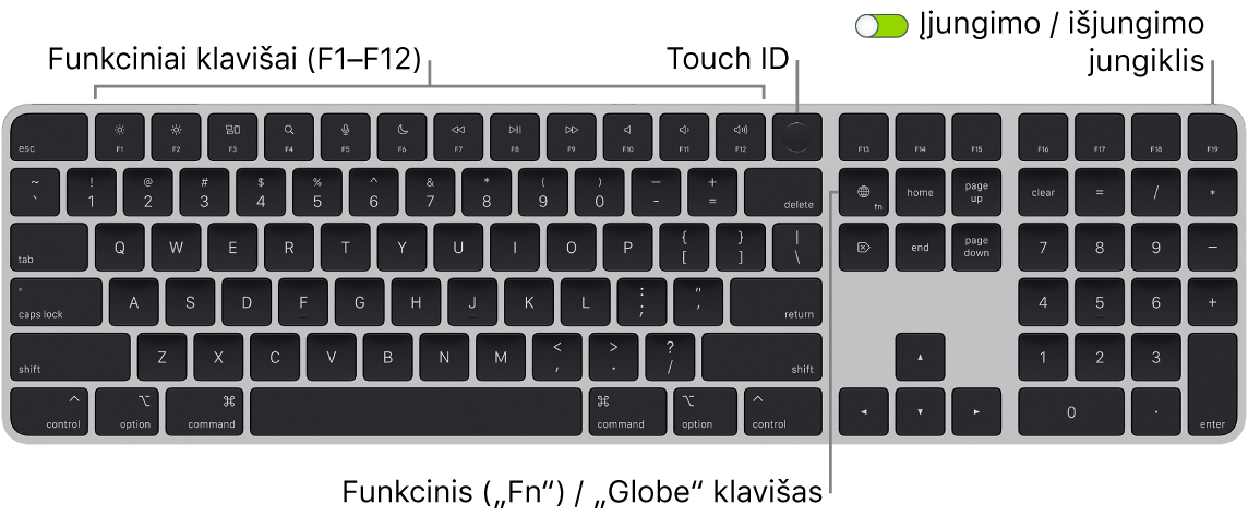 „Magic Keyboard“ su „Touch ID“ ir skaitmenų klaviatūra, viršuje matosi funkcinių klavišų eilė, „Touch ID“, o klavišo „Delete“ dešinėje – klavišas „Function“ („Fn“) / „Globe“.