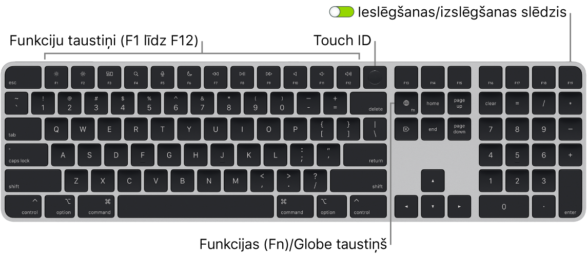 Tastatūra Magic Keyboard ar Touch ID un ciparu tastatūra, kam augšdaļā redzama funkciju taustiņu rinda un Touch ID, bet pa labi no taustiņa Delete — taustiņš Function (Fn)/Globe.