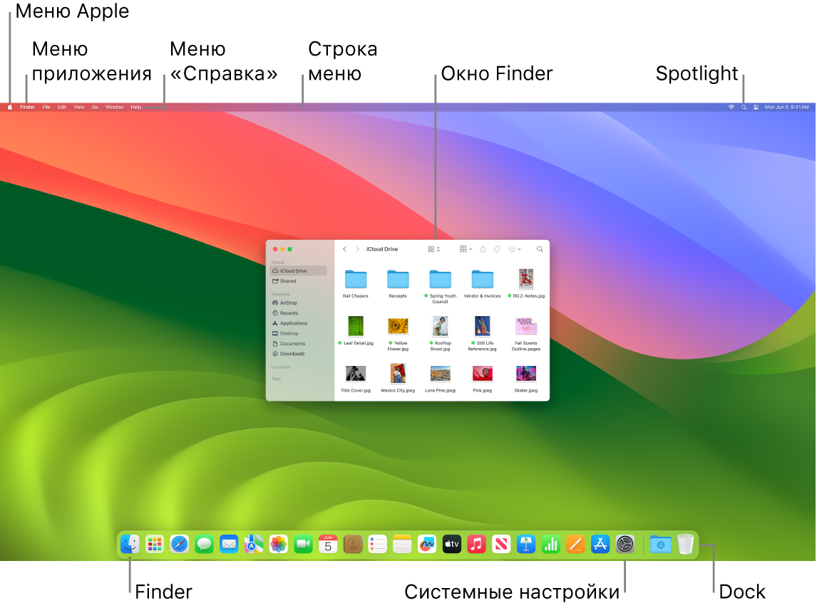 Экран компьютера Mac. Показаны меню Apple, меню приложения, меню «Справка», строка меню, окно Finder, значок Spotlight, значок Finder, значок Системных настроек и панель Dock.