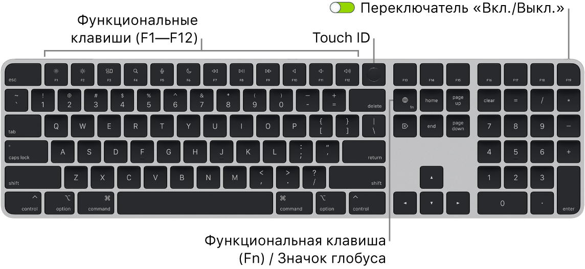 Клавиатура Magic Keyboard с сенсором Touch ID и цифровой клавишной панелью. Показаны функциональные клавиши, сенсор Touch ID вверху и клавиша Function (Fn) / глобуса справа от клавиши Delete.
