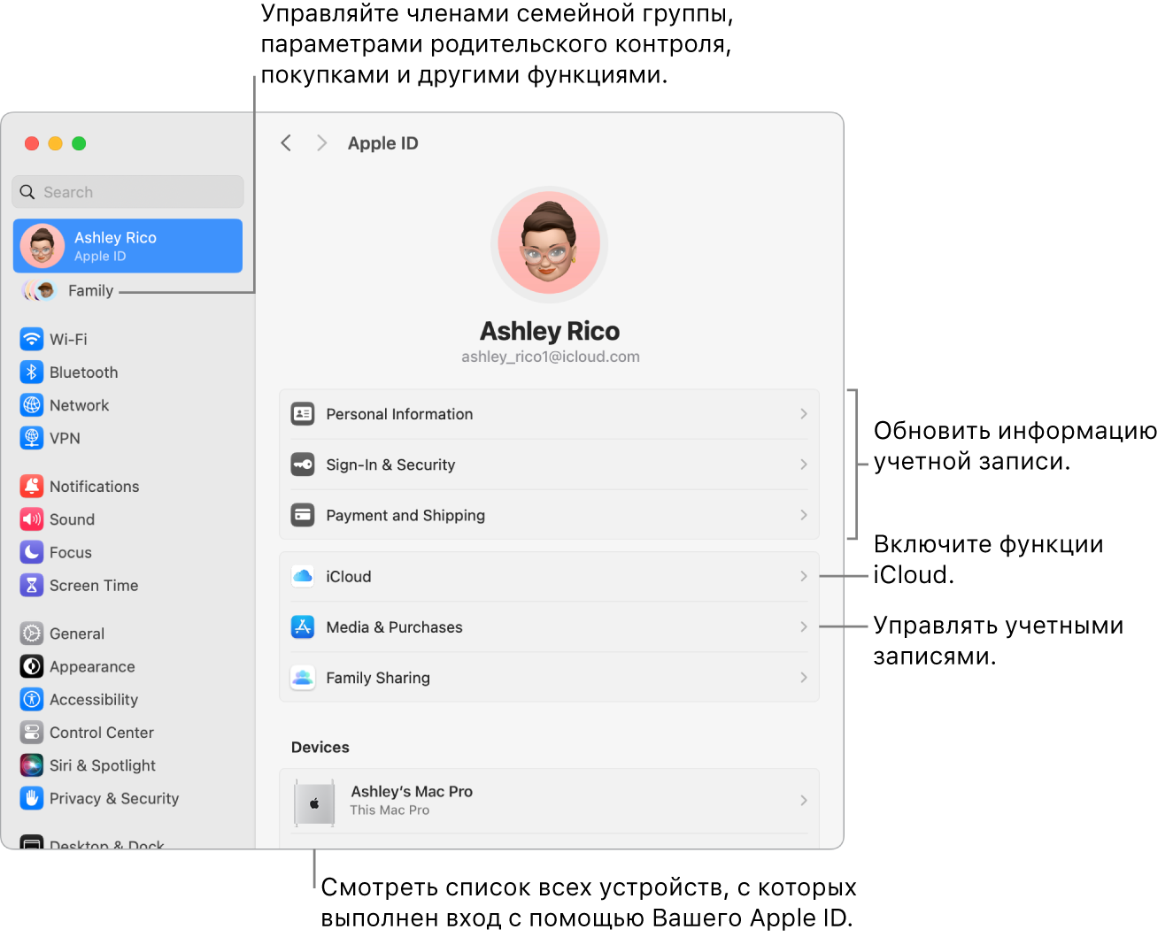 Панель Apple ID в Системных настройках. Сносками показаны параметры обновления сведений учетной записи, включения или выключения функций iCloud и управления настройками учетных записей для мультимедиа. В настройках Семейного доступа показаны параметры управления членами семьи, родительским контролем, покупками и многим другим.