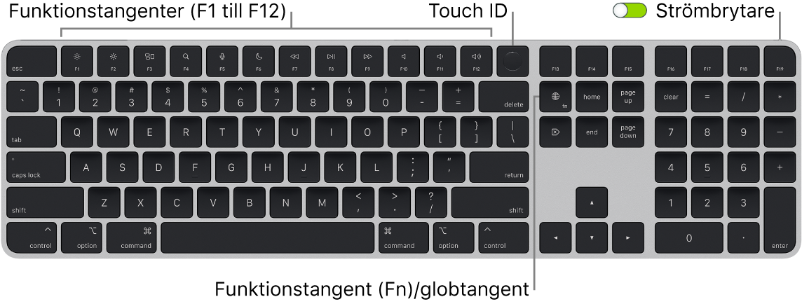 Magic Keyboard med Touch ID och numeriskt tangentbord där raden med funktionstangenter och Touch ID visas längs överkanten och funktions (Fn)-/globtangenten till höger om backstegstangenten.