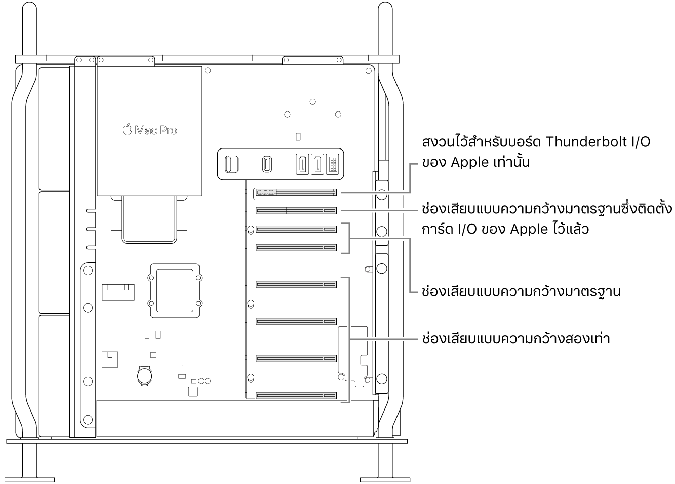 ด้านข้างของ Mac Pro ที่เปิดออกโดยมีตัวชี้บรรยายแสดงให้เห็นตำแหน่งของช่องเสียบแบบความกว้างสองเท่าสี่ช่อง ช่องเสียบแบบความกว้างมาตรฐานสองช่อง ช่องเสียบแบบความกว้างมาตรฐานสำหรับการ์ด Apple I/O และช่องเสียบสำหรับบอร์ด Thunderbolt I/O