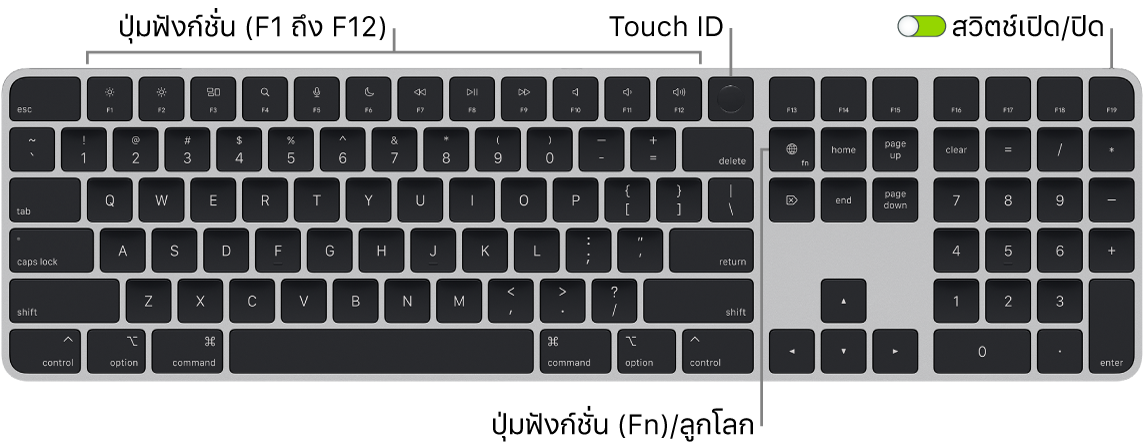 Magic Keyboard ที่มี Touch ID และปุ่มตัวเลขที่แสดงแถวของปุ่มฟังก์ชั่นและ Touch ID ตลอดแนวด้านบนสุด และปุ่มฟังก์ชั่น (Fn)/ลูกโลกที่ด้านขวาของปุ่ม Delete