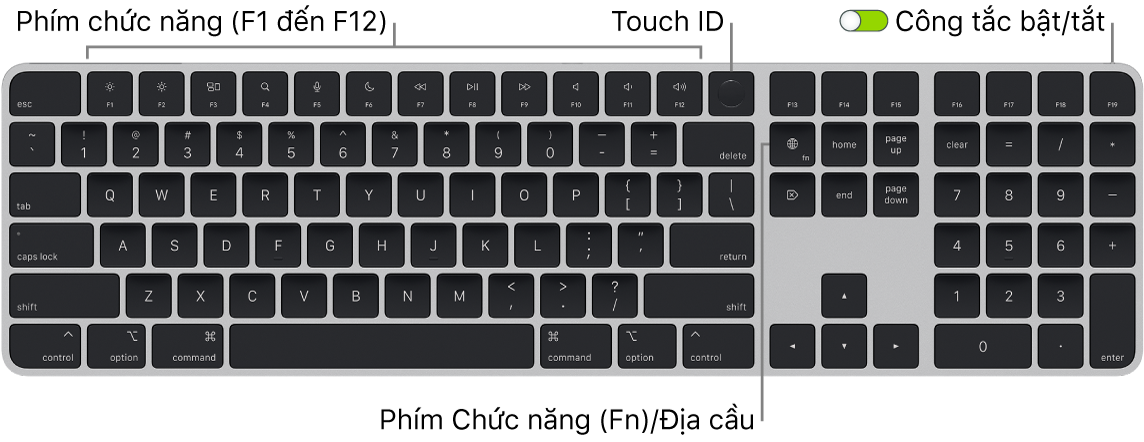 Magic Keyboard có Touch ID và Bàn phím số đang hiển thị hàng các phím chức năng, Touch ID ở trên cùng và phím Chức năng (Fn)/Địa cầu ở phía bên phải của phím Delete.