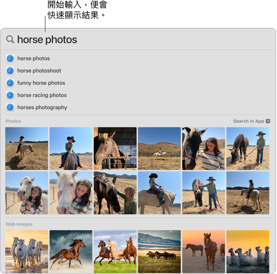Spotlight 視窗顯示「馬匹照片」的搜尋結果。